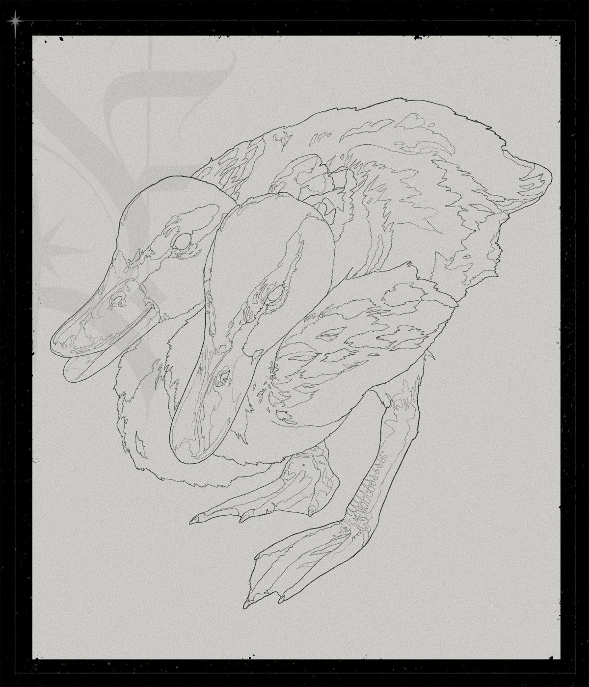 The Ugly Duckling