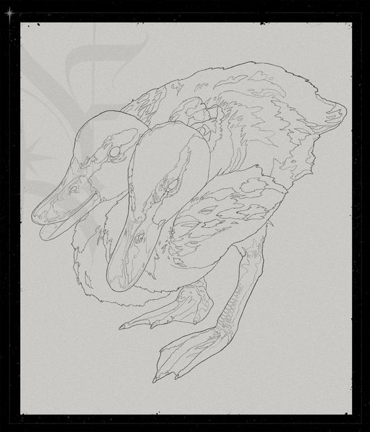 The Ugly Duckling
