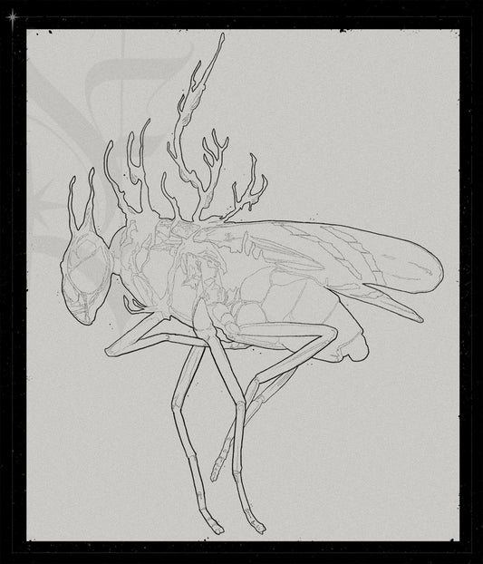 Cordyceps
