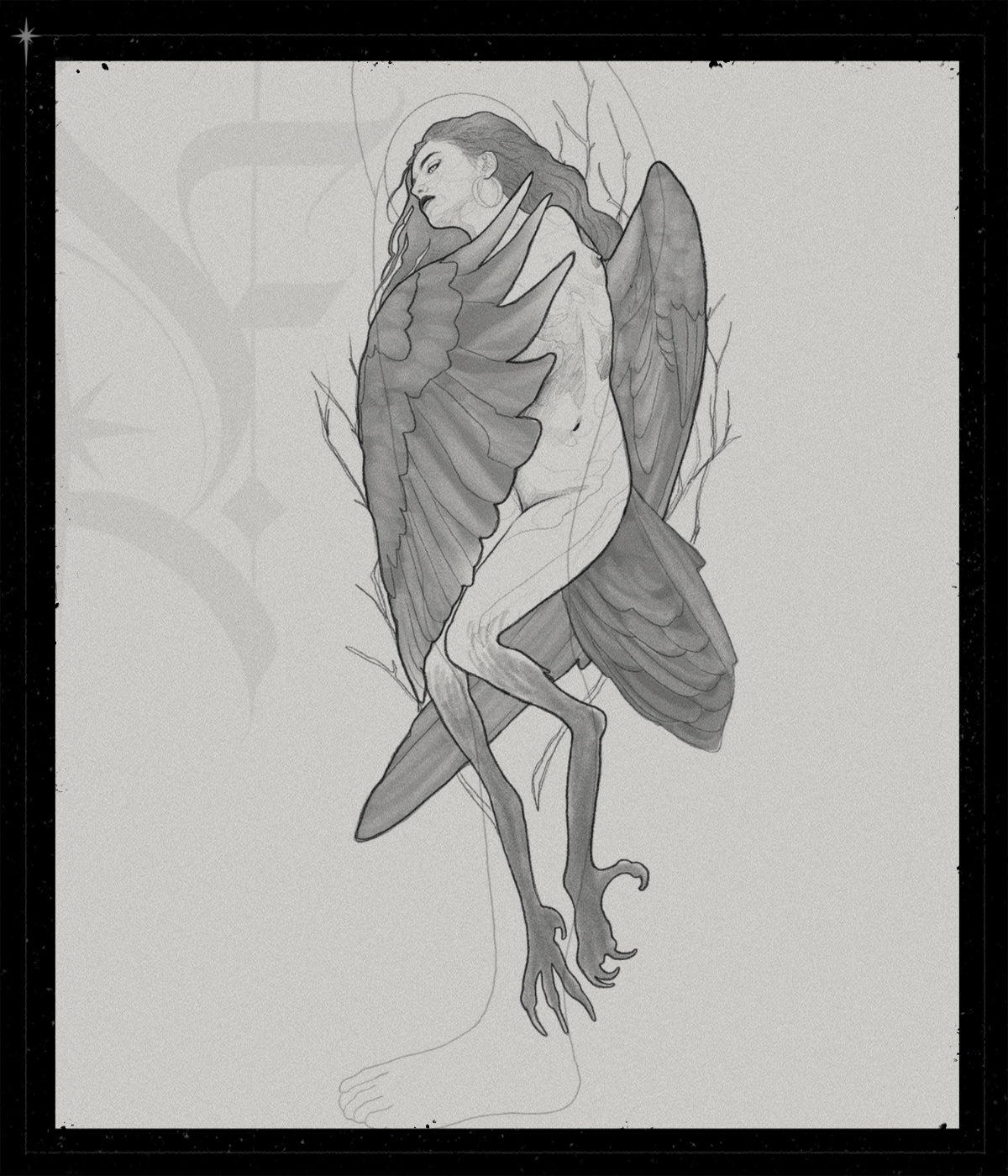 The Harpy