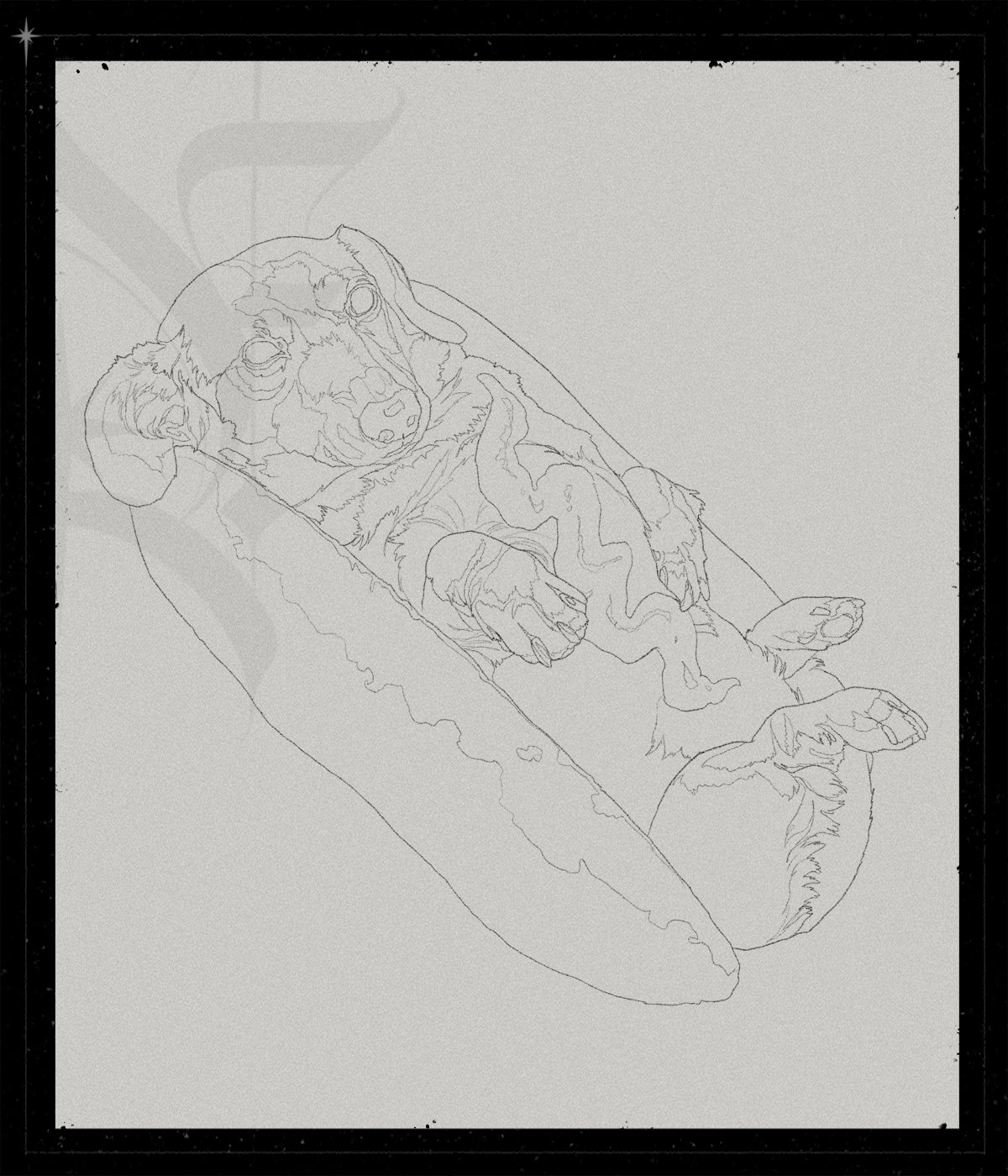Hot Dog