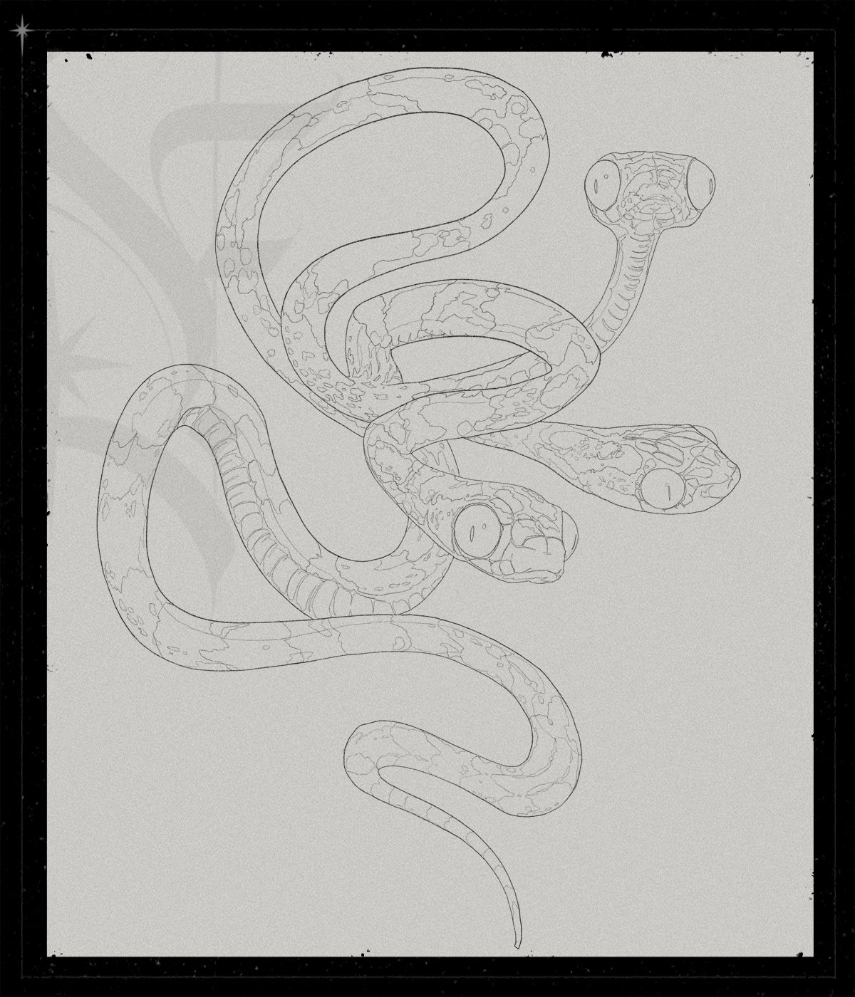 Hydra...?