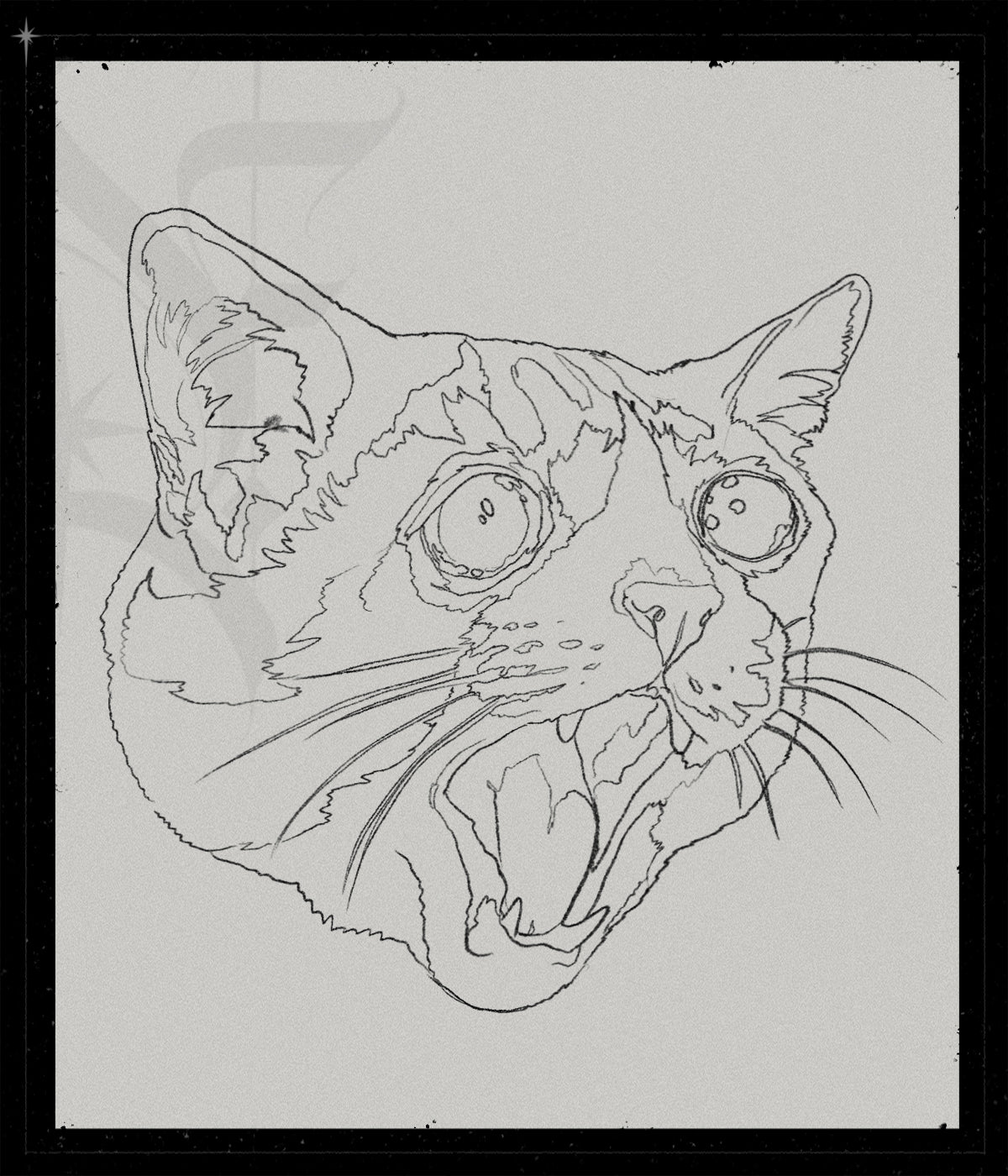 Sadcat II