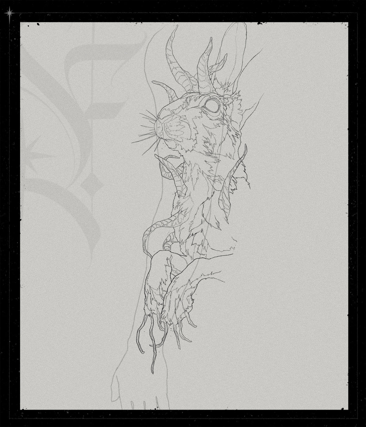 The Jackalope