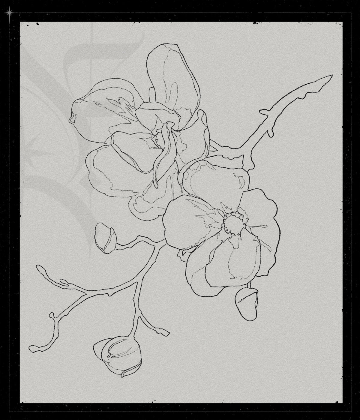 Blossom