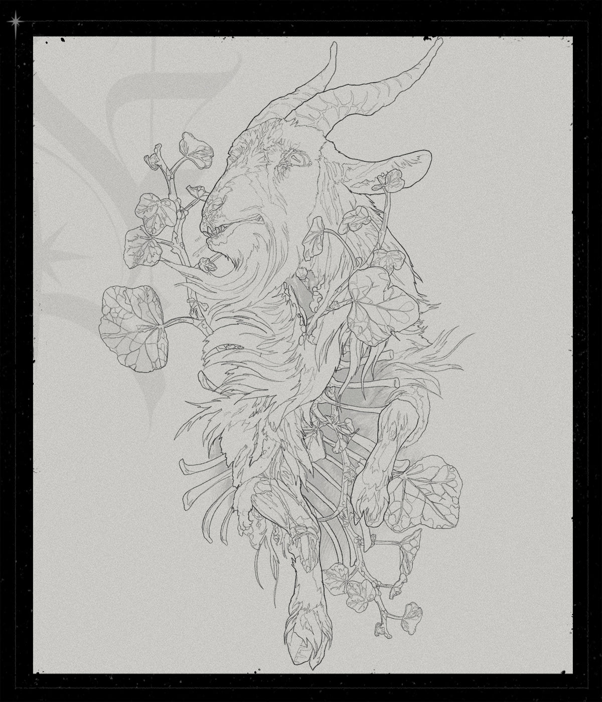 Ivy