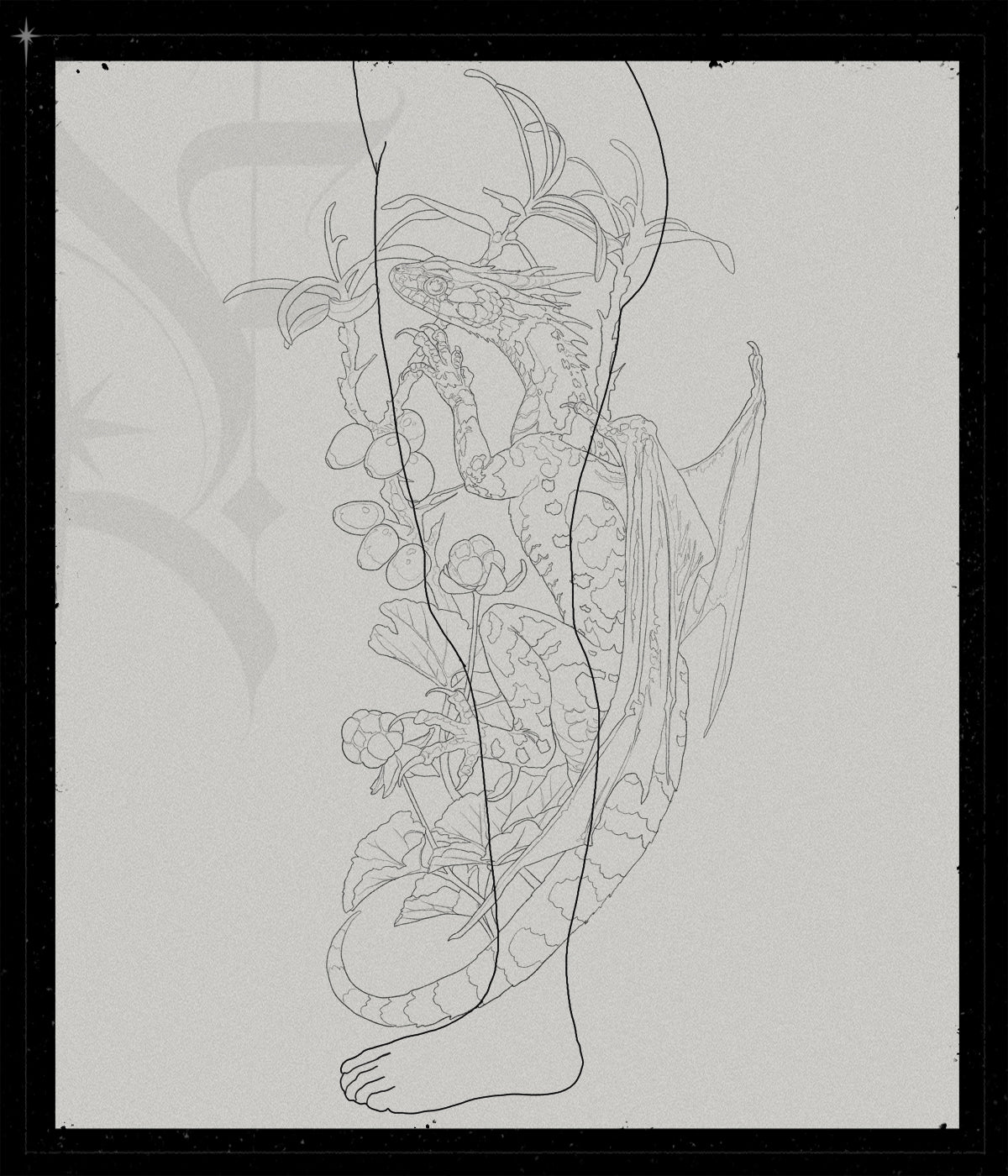 Draconia Natrix