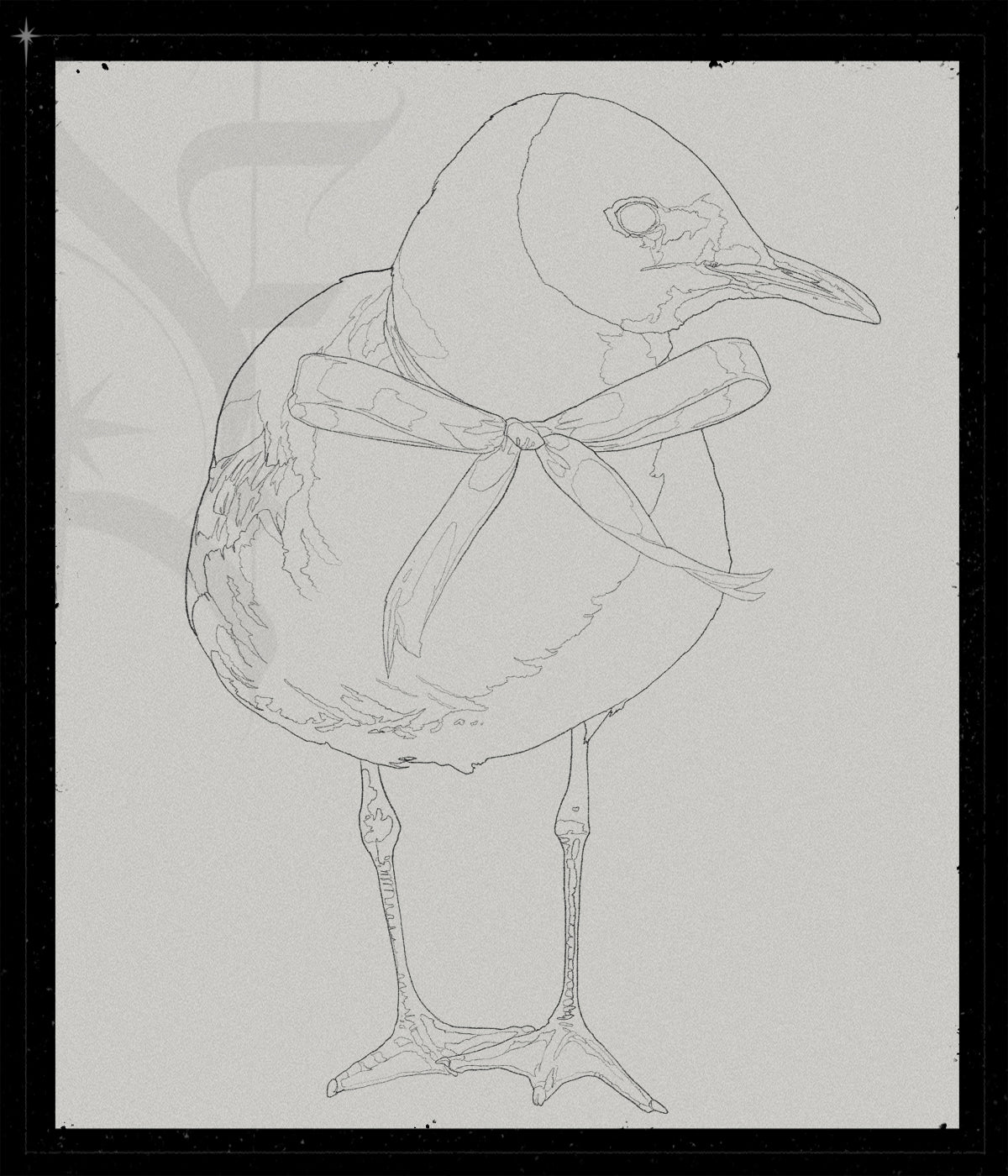 Larus Ridibundus