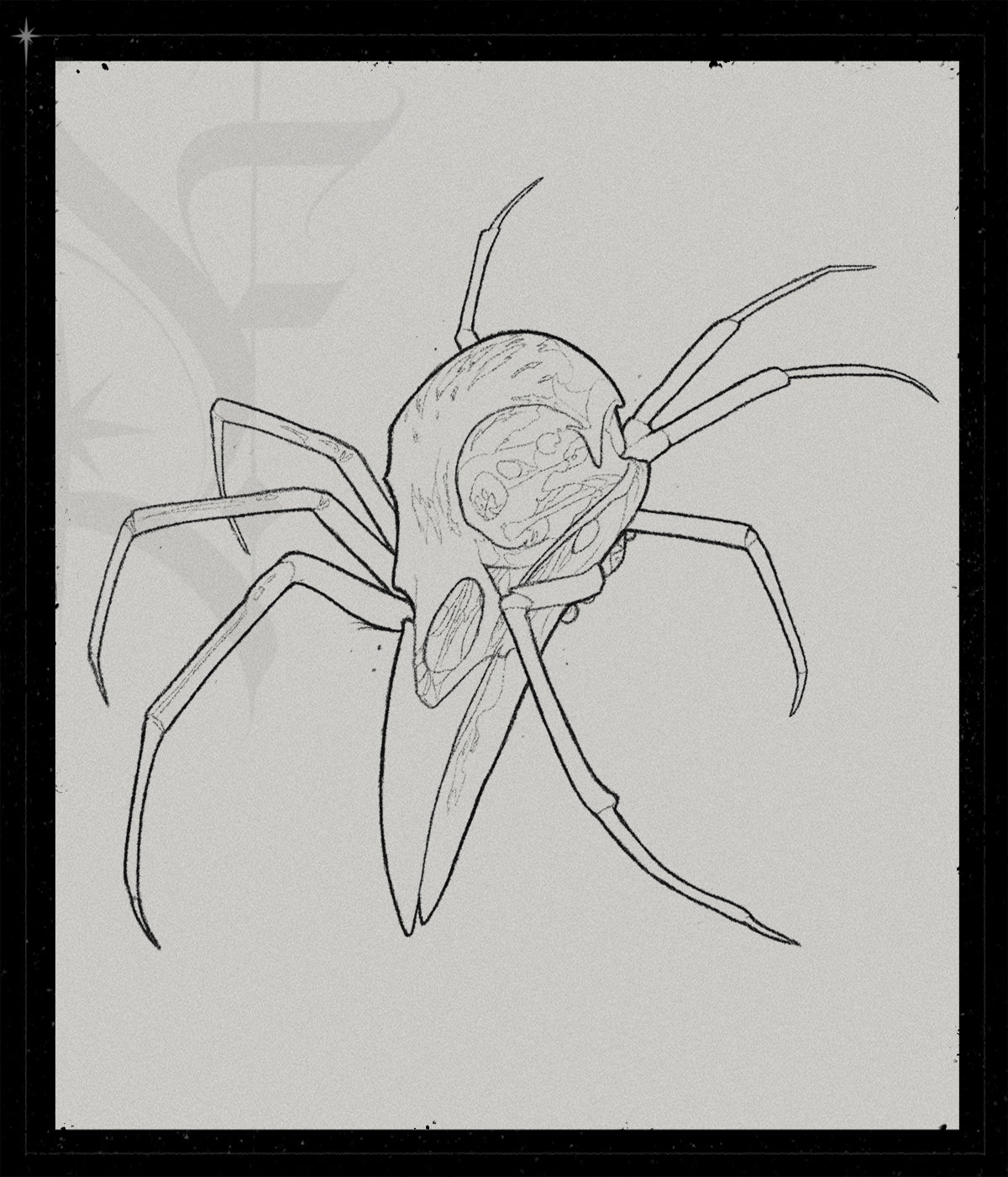 Arachnocorvus