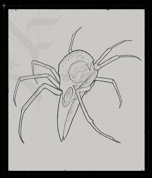 Arachnocorvus