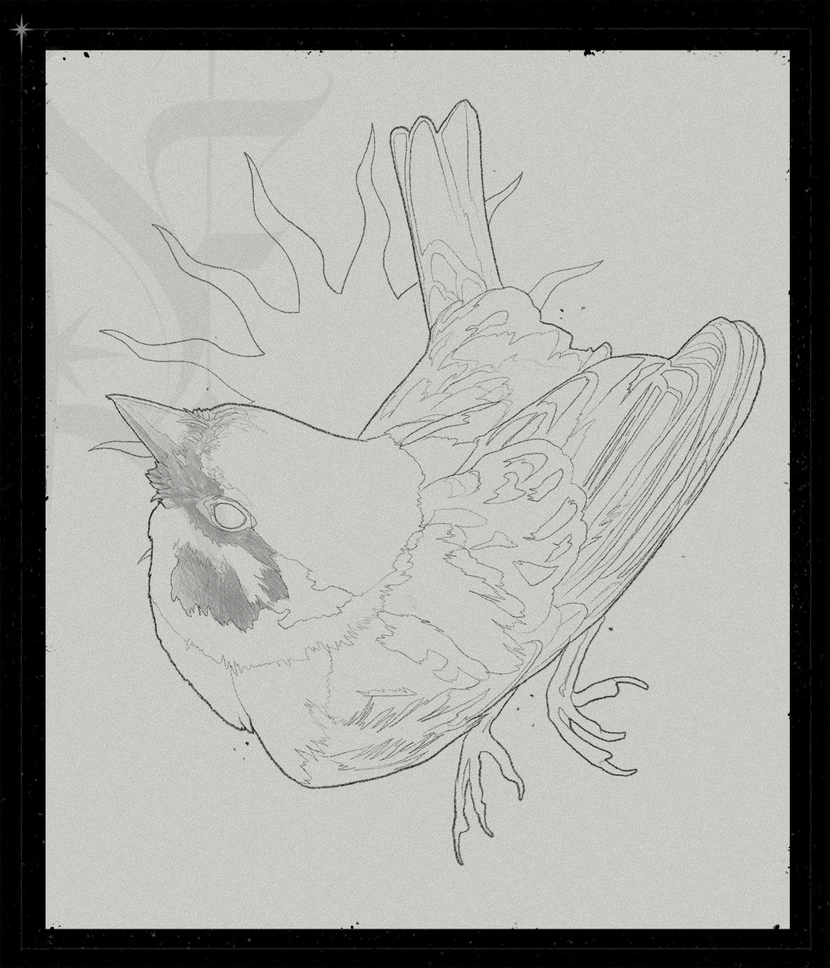Sparrow