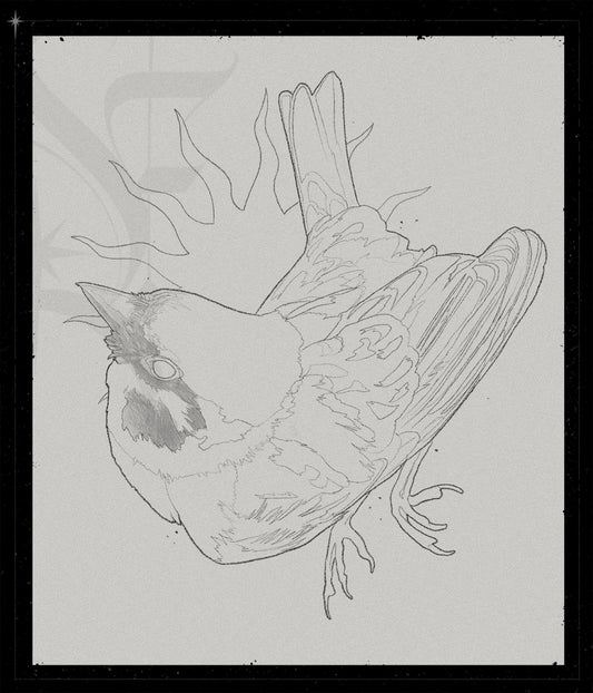 Sparrow