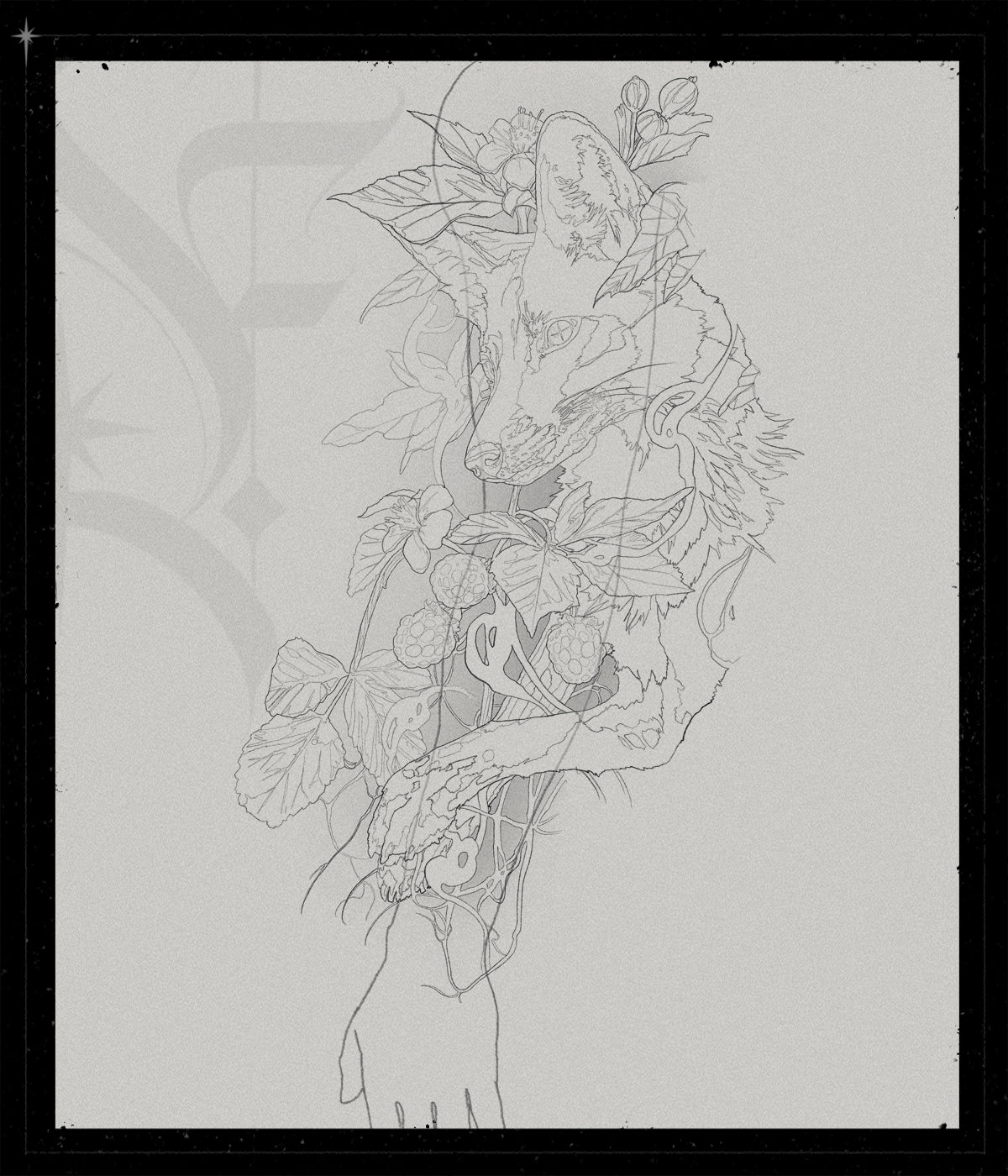 Vulpes Rubus
