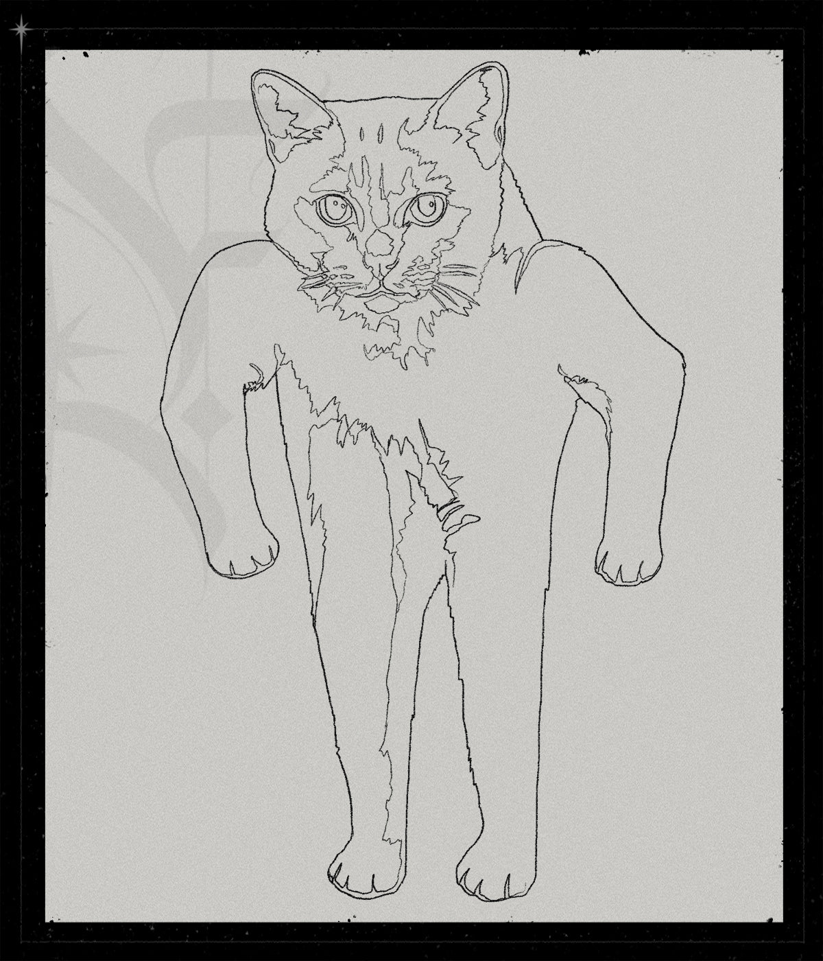 Buffcat