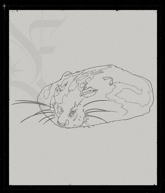 Flat Hampster