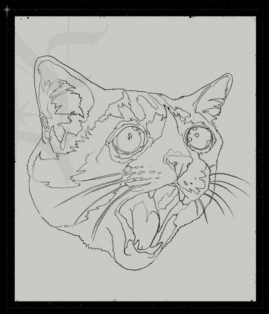 Sadcat II