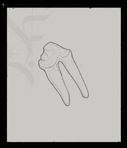 Molar