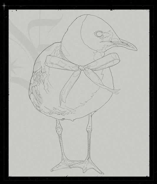 Larus Ridibundus