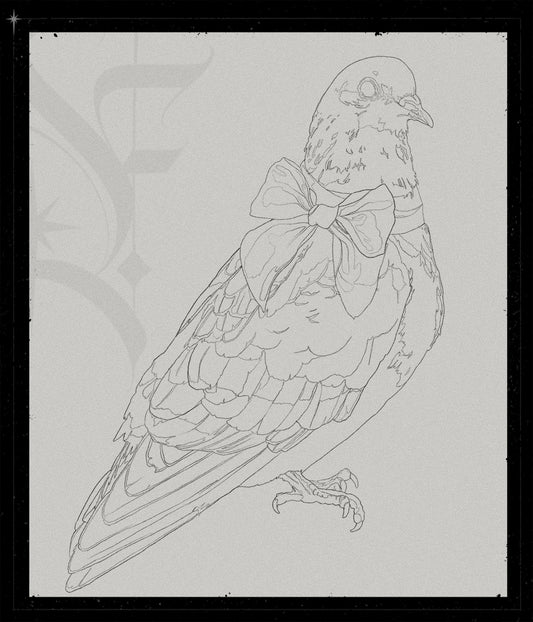 Columba Livia