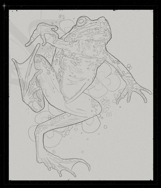 Rana Sylvatica