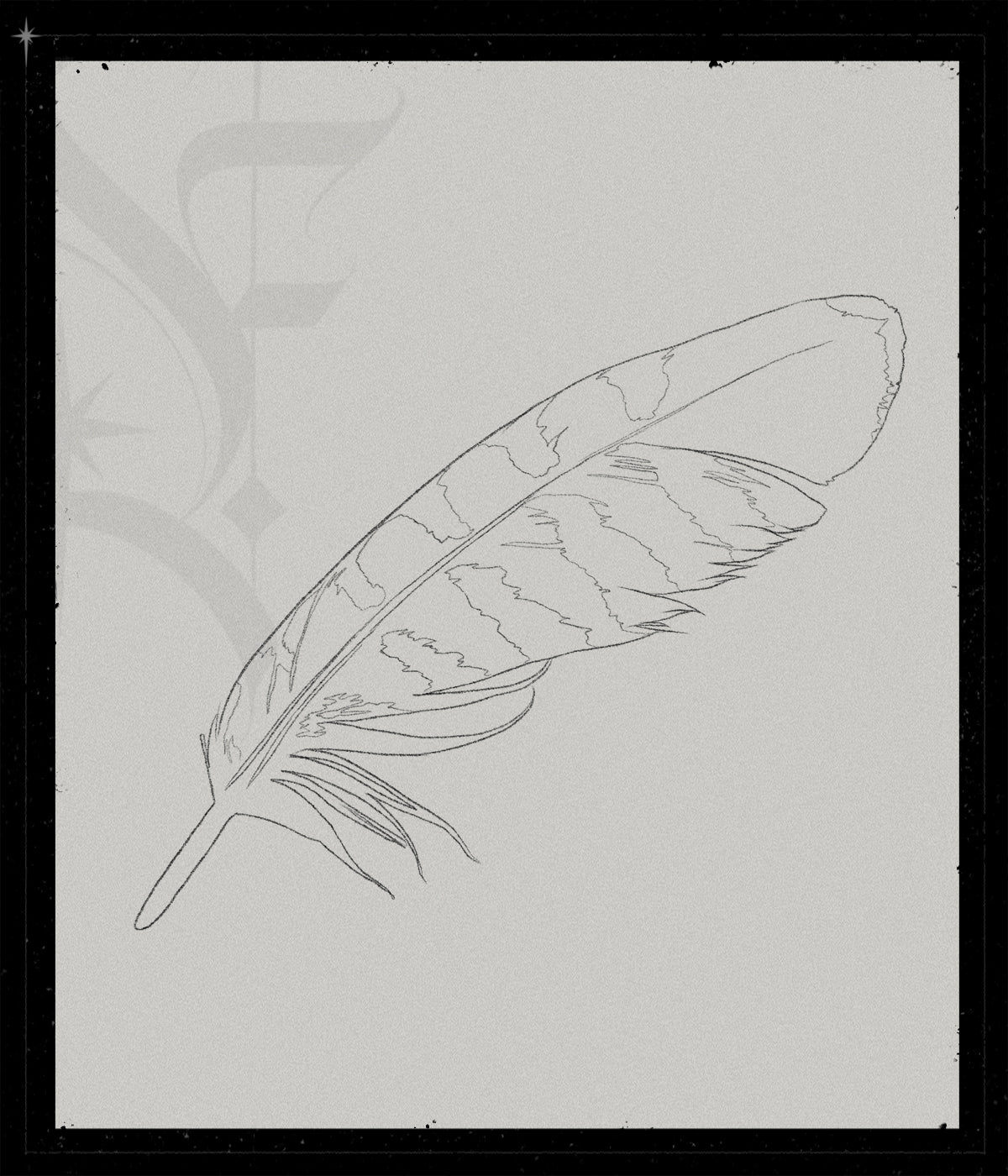 Feather