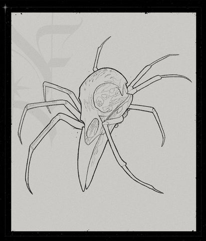 Arachnocorvus