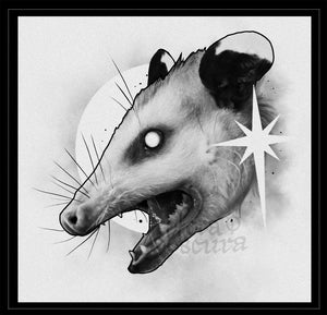 Opossumi