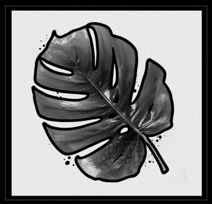 Monstera I