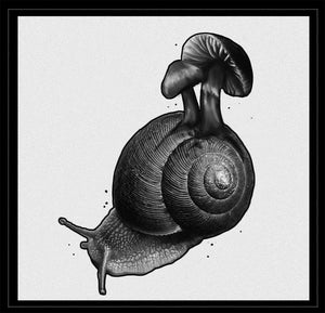 Critter II